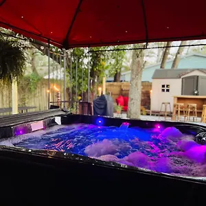 Apartment Tropical Casita In Near Airport And Raymond Stadium, Tampa